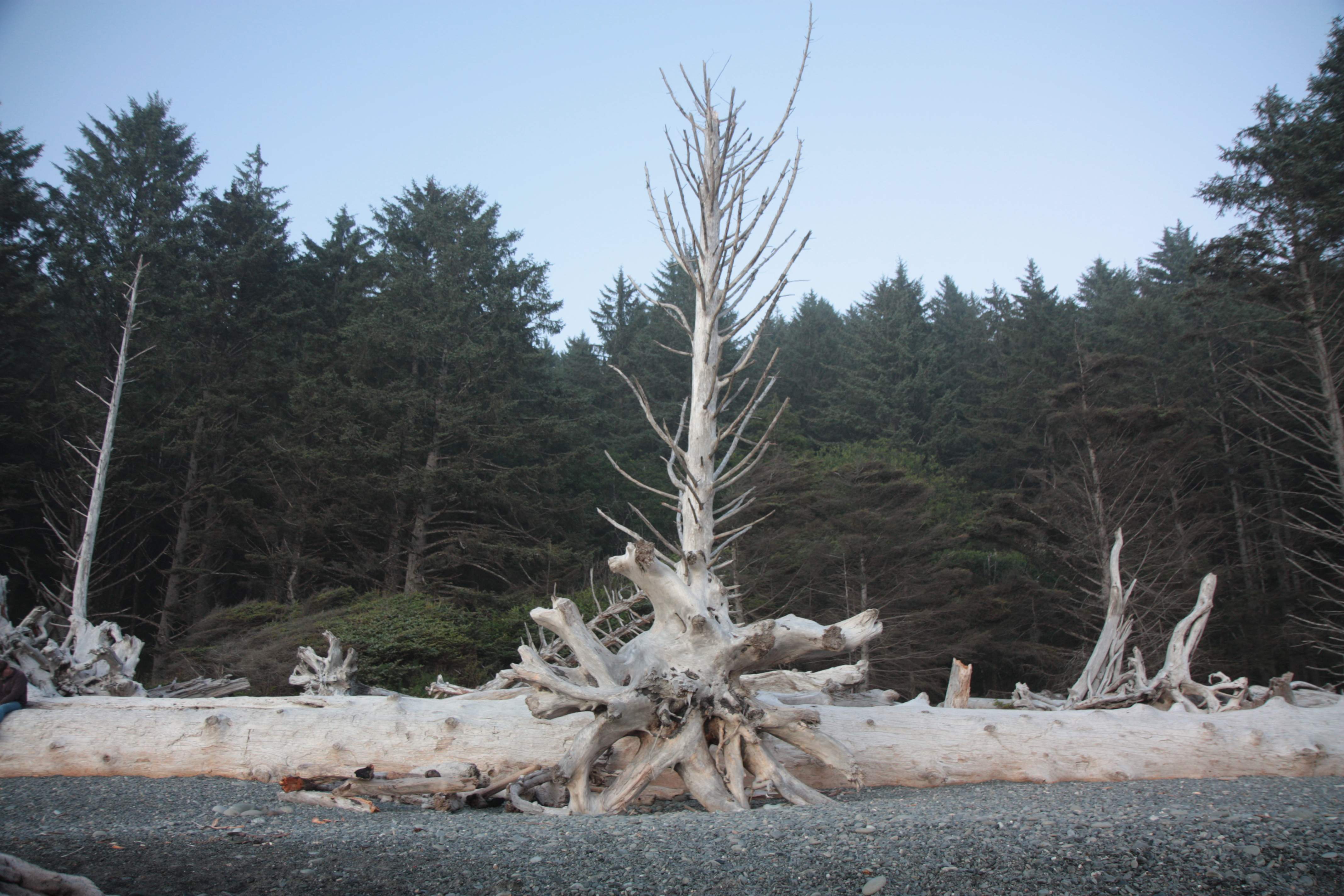 Olympic NP